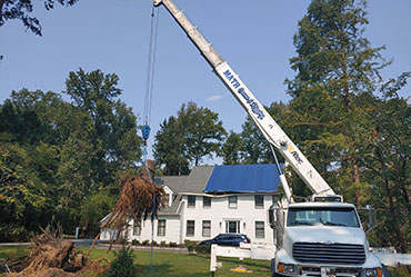 storm cleanup crane service