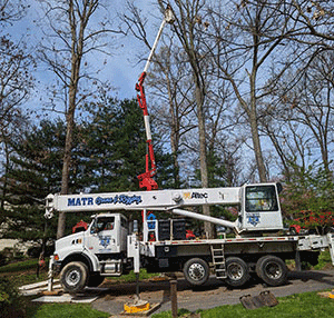 crane tree removal boom