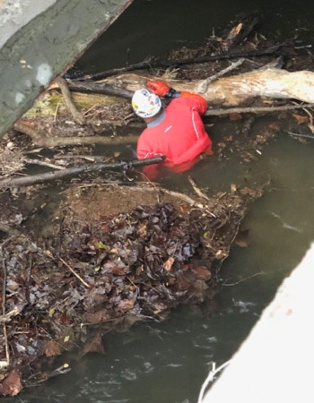 crane log jam removal