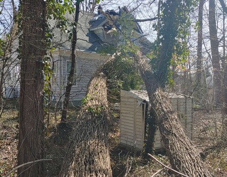 crane rental storm clean-up