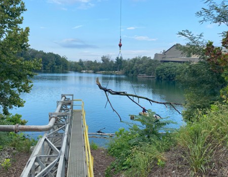 crane rental tree removal-1